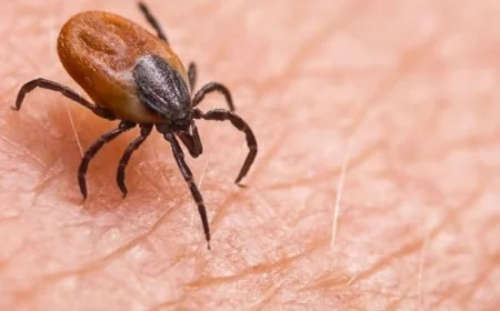 KKKA şüphesiyle hastaneye kaldırılan kişi hayatını kaybetti