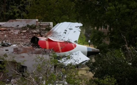 Hint uçağından sağ çıkan tek kişi nasıl hayatta kaldı? “Daha iyi bir açıklamamız yok”