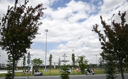 Bağımlılıkla mücadele için uçurtmalar gökyüzüyle buluştu