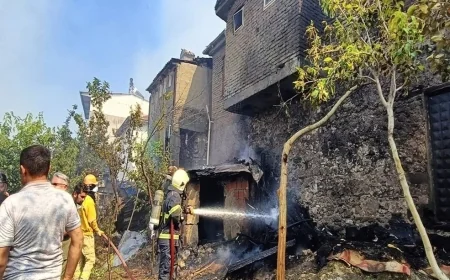 Elektrik kesilmişti: Orman yangınında evler kül oldu