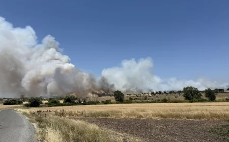 Çanakkale'de orman yangını: Bir kişi hakkında adli işlem