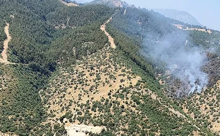 Manisa'da orman yangını: Ekipler müdahale ediyor