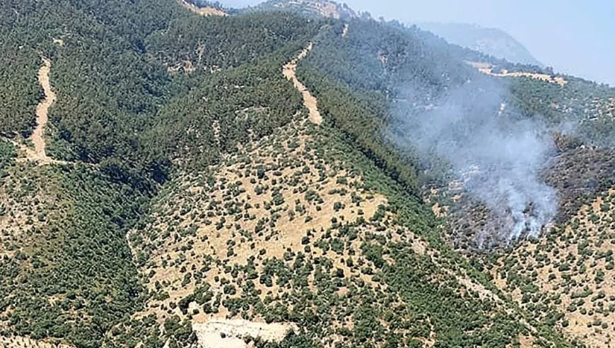 Manisa'da orman yangını: Ekipler müdahale ediyor